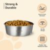 Amazon Basics Heavy Dog Bowl | Large Stainless Steel Food Bowl for Dogs, Cats and Pets (Pack of 2 x 1600 ml)
