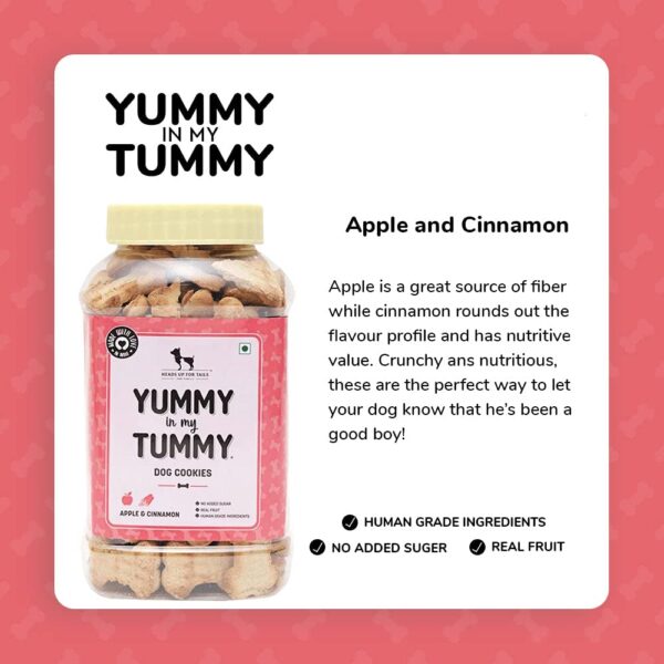 Heads Up For Tails Yummy in My Tummy Apple and Cinnamon Veg Dog Biscuits for Adult Dog & Puppy - 320gm | Veg Dog Treats | Made with Real Ingredients | No Added Flavours