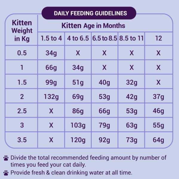 Kitten Dry Cat Food | Chicken & Rice | 1.2 kg |40% Reduction in Urinary Tract Diseases | Promotes Brain & Vision Development | Enhances Immunity |Improves Digestive Health
