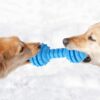 Western Era Dog Rubber Dumble Toy with Bell, Attractive, Unique Design, Ridged Texture, Lightweight, Durable, Weather, Water Resistant, Perfect for Mental and Physical Stimulation, Fetching, (Small)