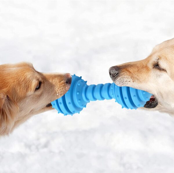 Western Era Dog Rubber Dumble Toy with Bell, Attractive, Unique Design, Ridged Texture, Lightweight, Durable, Weather, Water Resistant, Perfect for Mental and Physical Stimulation, Fetching, (Small)