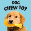 619r1xgHHL._SL1080_.jpg Sage Square Dog Squeaky Chicken Leg Colorful Rubber Toy for Safe Fun & Entertainment - Perfect for Dogs, Puppies, Cats & Kittens, This Toy Will Keep Your pet Engaged, stimulated & Happy