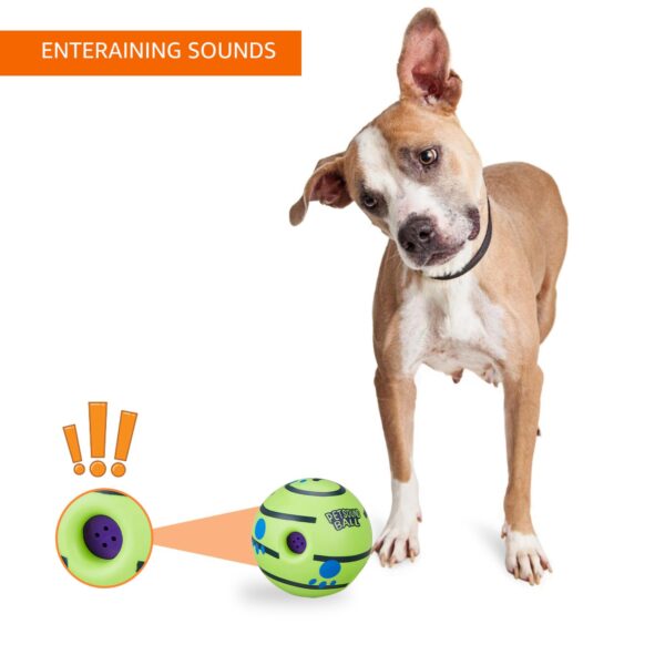amazon basics Interactive Sound Ball Toy for Dogs and Puppies| Fun Squeaky Sounds | Pet-Safe Materials| Suitable for All Dog Breeds | Size - Large