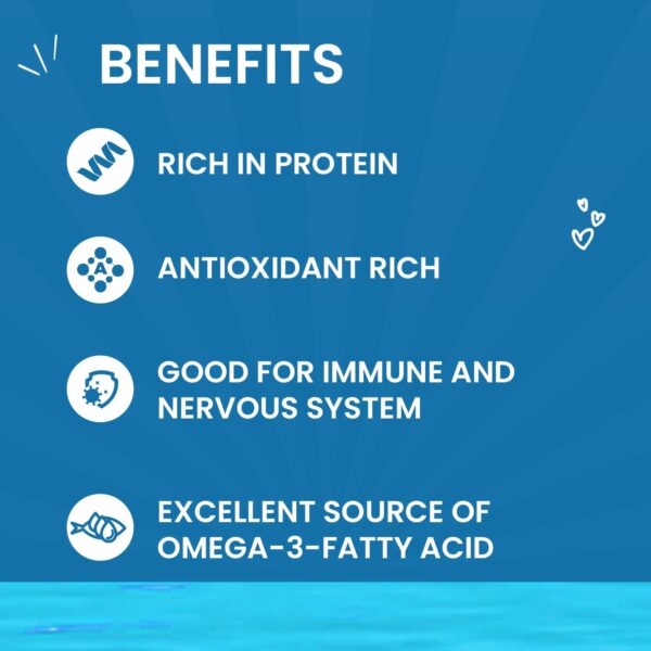 Goofy Tails Mackerel and Seaweed Wet Cat Food and Kitten Food, 350g (70g X 5 Pouches), Preservative Free, Gluten & Grain Free, Balanced Cat Wet Food, Powered by Taurine with Omega 3 & Antioxidants