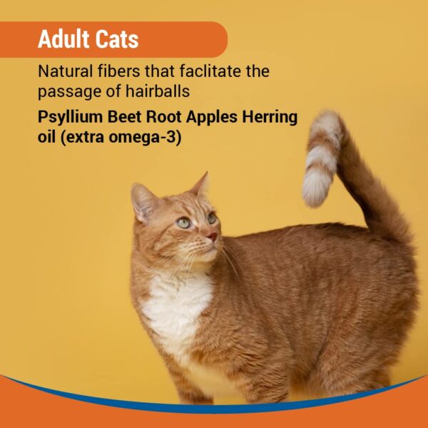 Vvaan Cat Treats Hairball Control Tasty Grain Free Vet formulated 50g