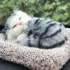 SUPER TOY Cute Sleeping Cat Plush Toy with Meow Sound, Gift for Kids Car Dashboard Accessories (Stripped Black)