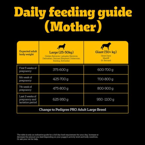 Pedigree PRO Mother & Pup Starter Small Breed, 1.2 kg Dry Dog Food, Vet Trusted Brand, Expert Nutrition, Quality Protein, 33% More Nutrients (3-12 Weeks)