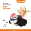 61BIW-k2yYL._SL1190_.jpg BarkButler x FOFOS Black Bird Cat Toy - Cat Toys Interactive, Flappy Bird Cat Toy with Catnip - Black