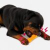 61BU3LMKNfL._SL1500_.jpg The Pets Company Indestructible Dog Chew Toy | Durable TPR Rubber Pet Toy for Aggressive Chewers | Strong, Non-Toxic, Teeth Cleaning, Squeaky Roller Toy for Large Dogs - 6.3 Inches (Colour May Vary)