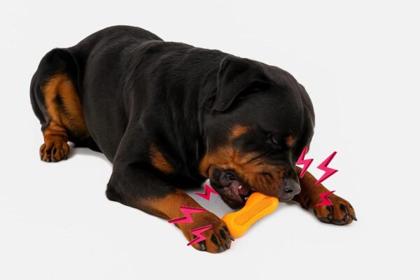 61BU3LMKNfL._SL1500_.jpg The Pets Company Indestructible Dog Chew Toy | Durable TPR Rubber Pet Toy for Aggressive Chewers | Strong, Non-Toxic, Teeth Cleaning, Squeaky Roller Toy for Large Dogs - 6.3 Inches (Colour May Vary)