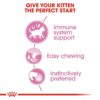 61BUWfqMqeL._SL1500_.jpg Royal Canin Instinctive Kitten Food, 85 Grams, Pack of 12 Sachet, Wet Food, Supports Strong Immune System, Indistinctively Preferred