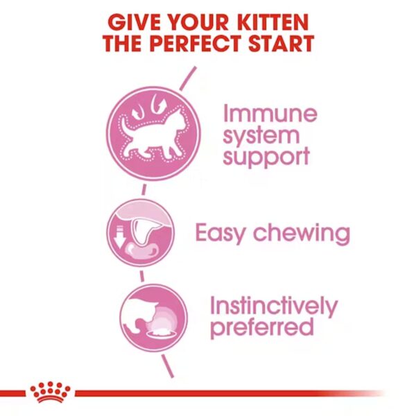 61BUWfqMqeL._SL1500_.jpg Royal Canin Instinctive Kitten Food, 85 Grams, Pack of 12 Sachet, Wet Food, Supports Strong Immune System, Indistinctively Preferred