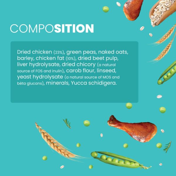61BrDy6JYjL._SL1080_.jpg Bark Out Loud Adult Dry Dog Food, Chicken & Ancient Grains | Low Grain Dry Dog Food for Medium & Large Breeds | High Protein Kibbles with Prebiotics, Super Herbs, Antioxidants & Fibre 2 kg