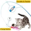 61DOshP9-GS._SL1000_.jpg Qpets® Cat Interactive Toys Set with Retractable Teaser Wands and Feather Worm Toys Kitten Toys Variety of Vibrant Colours Activity Toys to Exercise Cats and Kittens