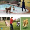Dog Trust Dog Squeaky Balls, Indestructible Dog Toys for Aggressive Chewers Large/Medium Breed, Durable Tough Chew Toys for Aggressive Chewers, Natural Rubber Dog Balls Interactive Toys 2pcs Ball;