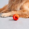 Heads Up For Tails Quintessential Tennis Dog Ball - Set of 2