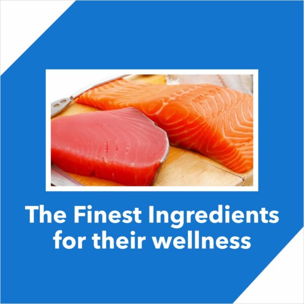 Drools Adult Dry Cat Food, Tuna Salmon 1.2 Kg Pack