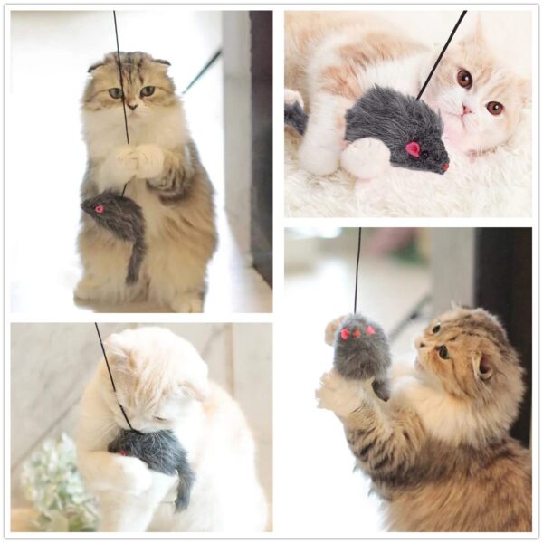 61ES0Nb3YdL._SL1202_.jpg Qpets® Cat Teaser Toys, Cat Feather Toys, Hanging Cat Toys for Indoor Cats Interactive Elastic Rope, Cat Toys for Persian Cat Soft Toy with Plushed Mice Pendent