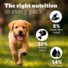 Pedigree PRO Puppy Large Breed, 1.2 kg Dry Dog Food, Vet Trusted Brand, Expert Nutrition, Quality Protein, 33% More Nutrients (3-18 Months)