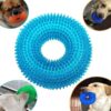 61Ev5ARKB8L.jpg Dog Trust Durable Natural Rubber Hard Spiked Ring Shape Chew Toy Ideal for Teeth Cleaning and Chewing Dogs & Puppies (Multicolor) for Aggressive Chewer