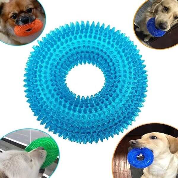 61Ev5ARKB8L.jpg Dog Trust Durable Natural Rubber Hard Spiked Ring Shape Chew Toy Ideal for Teeth Cleaning and Chewing Dogs & Puppies (Multicolor) for Aggressive Chewer