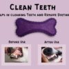 61F7A2aAWTL._SL1500_.jpg Foodie Puppies Natural Latex Rubber Squeaky Dog Toy (Prickle Bone) | Small to Medium Dogs & Puppy | Durable, Fetch & Chew Safe Play Toy | Reduce Separation Anxiety