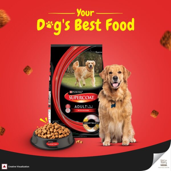 61GEZ-WzyCL._SL1200_.jpg SUPERCOAT Purina Adult Dry Dog Food, 1+ Years, with Chicken, Smartblend Precise Nutrition for Whole Body Health, No Artificial Colours & Flavours, 2.5Kg, Bag