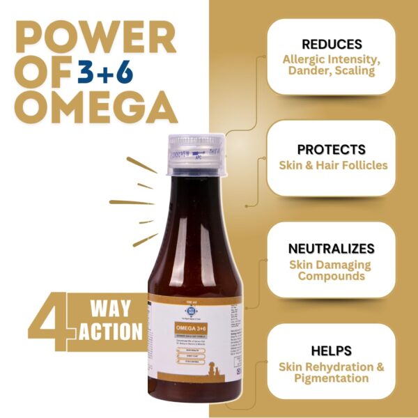 Omega 3+6 Concentrated Salmon Fish Oil for Dogs & Cats with Vitamins & Minerals | Shinier Coat, Itch & Allergy Control | Improves Skin & Hair Health | Nutritional Supplement for Pets - 100 ml