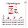 61GWDo-ZPCL._SL1320_.jpg Royal Canin Medium Adult Dog Food, 1 Kg, Dry Food, Provides Muscle Mass, Supports Complex Natural Defense & Optimal Health Support