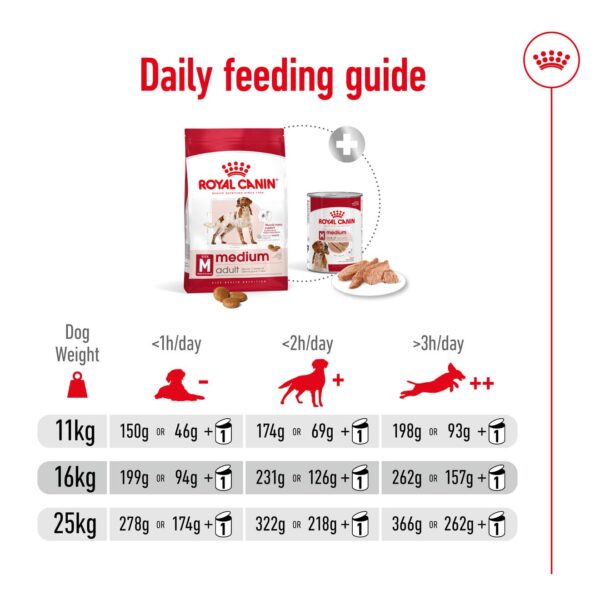 61GWDo-ZPCL._SL1320_.jpg Royal Canin Medium Adult Dog Food, 1 Kg, Dry Food, Provides Muscle Mass, Supports Complex Natural Defense & Optimal Health Support