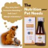 Omega 3+6 Concentrated Salmon Fish Oil for Dogs & Cats with Vitamins & Minerals | Shinier Coat, Itch & Allergy Control | Improves Skin & Hair Health | Nutritional Supplement for Pets - 100 ml