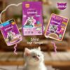 61HrKllaWAL._SL1001_.jpg Whiskas Persian Kitten (2-12 Months) Dry Cat Food, 6.8kg, 100% Complete & Balanced Tailor Made Nutrition, Reduces Hairfall, for Healthy Coat & Skin