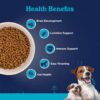 Fresh Chicken Starter Dry Dog Food 1Kg for Small Dogs | Premium Nutrition | Natural Ingredients for Easy Weaning | GMO-Free | Highly Palatable | Immune & Lactation Support