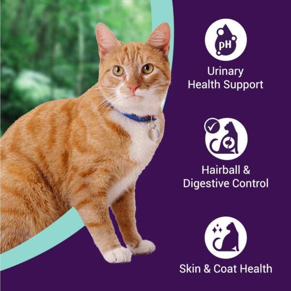 61IMXu1pl7L._SL1200_.jpg Adult Dry Cat Food | Chicken & Ocean Fish | 1.2 kg | 40% Reduction in Urinary Track Diseases |Anti Hairball Formula |Healthy Skin & Coat |Improves Digestive Health