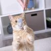 RvPaws Mouse Toy - 6 Pieces Cats Mouse Plush Cat Toys Realistic Cute Kitten Mice Filled Polyfill Rat for Cat