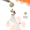 amazon basics Interactive Sound Ball Toy for Dogs and Puppies| Fun Squeaky Sounds | Pet-Safe Materials| Suitable for All Dog Breeds | Size - Large