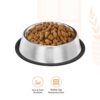 Pets Empire Small Dog and Cat Feeding Bowl Steel (200 ml) Set of 3