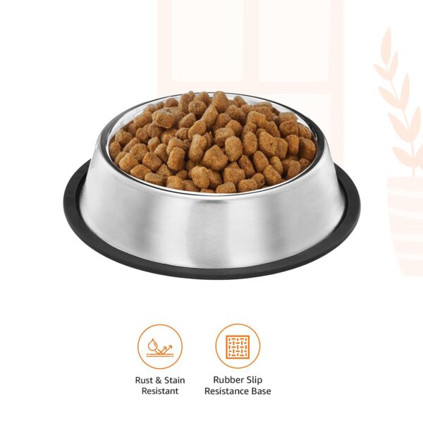 Pets Empire Small Dog and Cat Feeding Bowl Steel (200 ml) Set of 3
