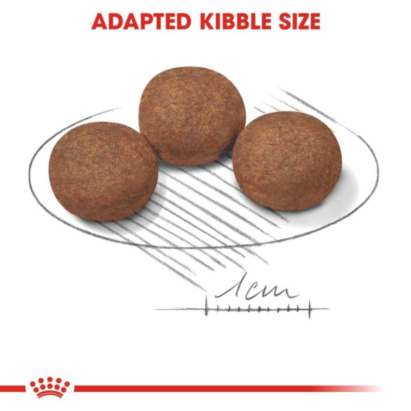 Royal Canin Medium Puppy Food, 1 Kg, Dry Food, Supports Digestive Health & Immune System, Provides Short Growth & High Energy Content