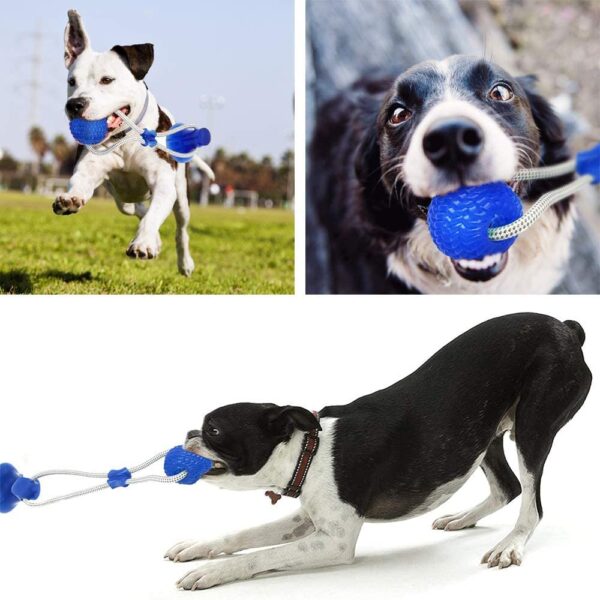 PETS EMPIRE Multifunctional Dog Chew Toy with Double Suction Cup | Interactive Tug Toy for Aggressive Chewers, Puppy Toothbrush & Teeth Cleaning Molar Bite Stick