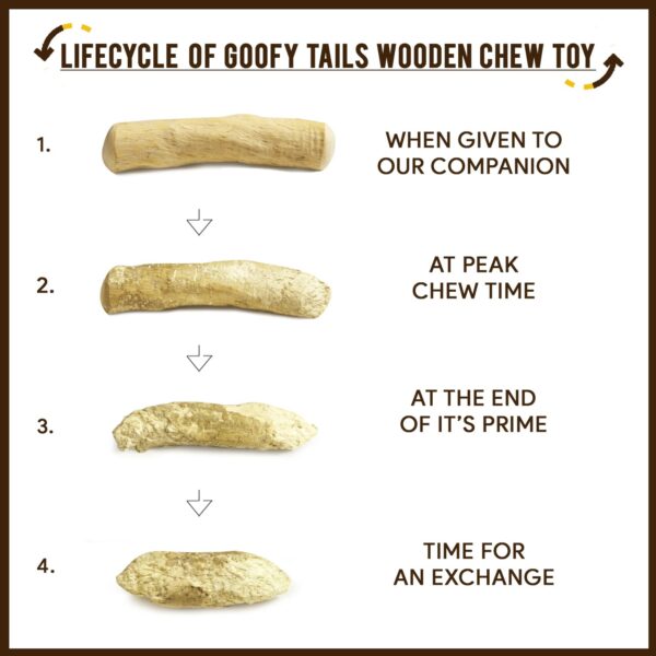 Goofy Tails Coffee Wood Dog Toys| Splinter Free, Caffeine Free, Dog Chew Toys | Natural, Safe Puppy Toy | Dental Care Toy for Dogs & Puppies | Small, 1 Piece