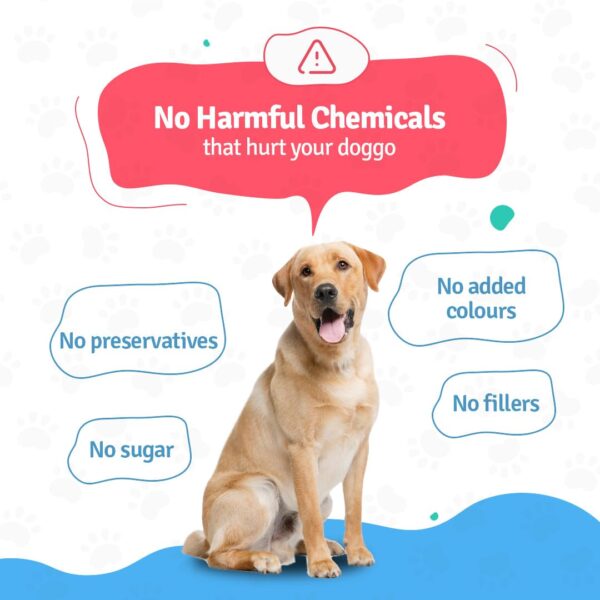 61JXbJGcZLL._SL1080_.jpg BLEP Dog Food Adult & Puppy | 600g | Dog Wet Food, High Protein, Omega 3&6, Contains Chicken Breast, Broccoli, Pumpkin, Zucchini, Zero Preservatives, Digestible, Human Grade(6 Packs of 100g)