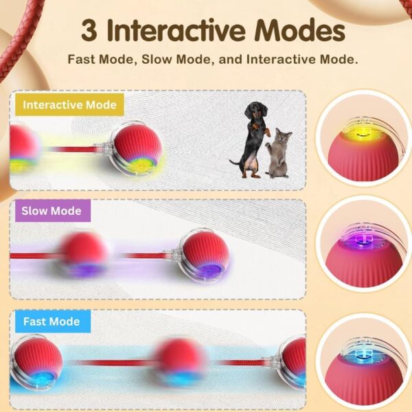 Interactive Electric Automatic Rolling Moving Rechargeable Self Play Stimulation Toy for Cats and Small Dogs - Smart Pet Chase Ball with Speedy Tail Rope for Indoor Enrichment (Red)
