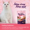 Adult Wet Cat Food | Tuna Platter in Jelly |80 GMS (Pack of 12)| Gluten Free | Supports Hydration |Highly Palatable