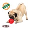Meat Up Non-Toxic Rubber Hole Ball Toy, Puppy/Dog Teething Toy - 7.62 cm Pack