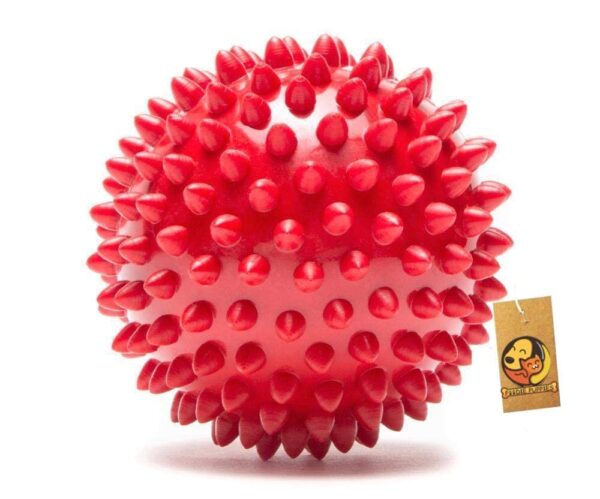61L5ASyw6PL._SL1000_.jpg Foodie Puppies Interactive Rubber Chew Toy Combo for Dogs and Puppies - Spike Ball Toy + Hole Ball Toy | Durable, Training, Teething & Chewing | Reduce Separation Anxiety