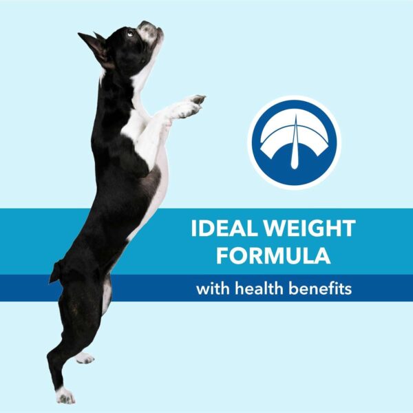 61LIo2BirmL._SL1500_.jpg Purepet Adult Dry Dog Food,Chicken and Vegetable Flavor 1Kg Pack