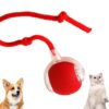 Cat Toys Ball – Smart Rolling LED Ball, Automatic & USB Rechargeable Motion Activate for Indoor Kitten Puppy Dog cat- Pet Exercise, IQ Training, Fun & Engaging Pet Toy