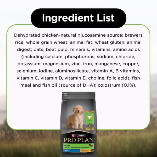 61LVRums5zL._SL1200_.jpg PURINA PRO Plan Puppy Food for Large Sized dogs-1kg