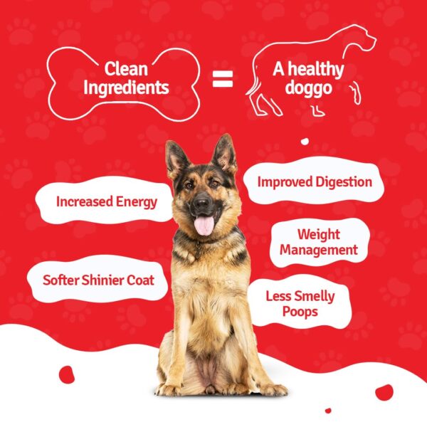 61LpkFyTwxL._SL1080_.jpg BLEP Lamb Blueberry Pawer 700g (7 Pack of 100g) - Complete Meal for Adult & Puppy|Lamb Liver& Fresh Vegetables|Grain Free, High Protein, Easily Digestible, Zero Preservatives|Human Grade|(Wet)